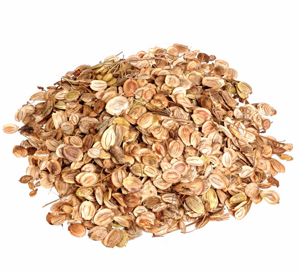 تخم زردک (۵۰گرم)